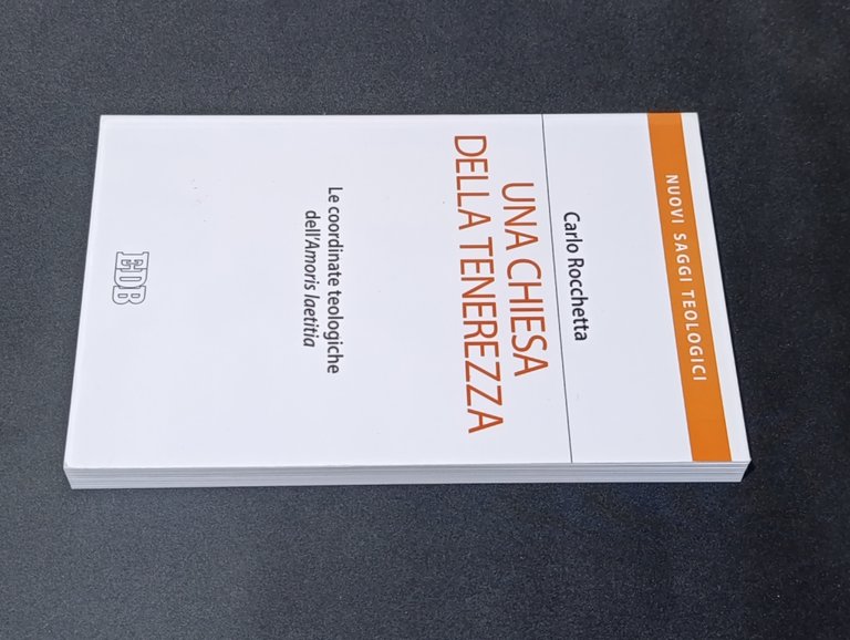 Una Chiesa della tenerezza. Le coordinate teologiche dell'«Amoris laetitia»