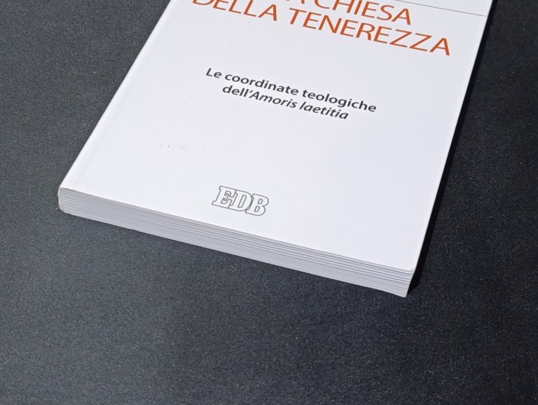 Una Chiesa della tenerezza. Le coordinate teologiche dell'«Amoris laetitia»