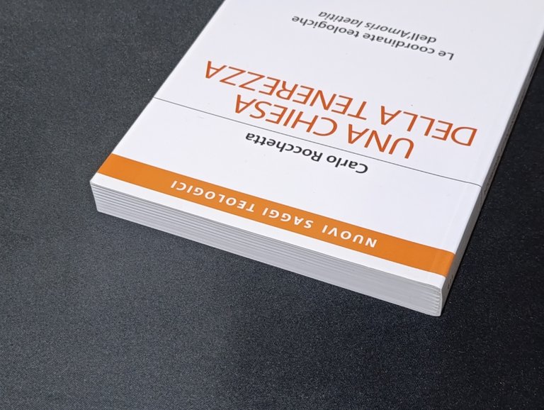 Una Chiesa della tenerezza. Le coordinate teologiche dell'«Amoris laetitia»