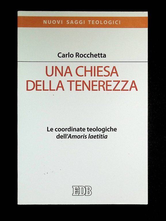 Una Chiesa della tenerezza. Le coordinate teologiche dell'«Amoris laetitia»