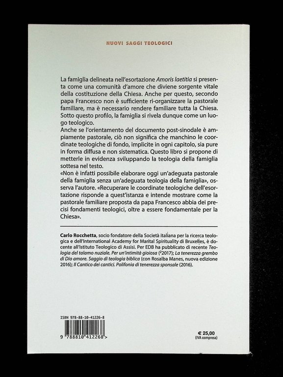 Una Chiesa della tenerezza. Le coordinate teologiche dell'«Amoris laetitia»