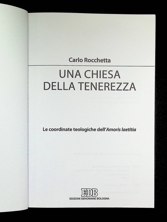 Una Chiesa della tenerezza. Le coordinate teologiche dell'«Amoris laetitia»