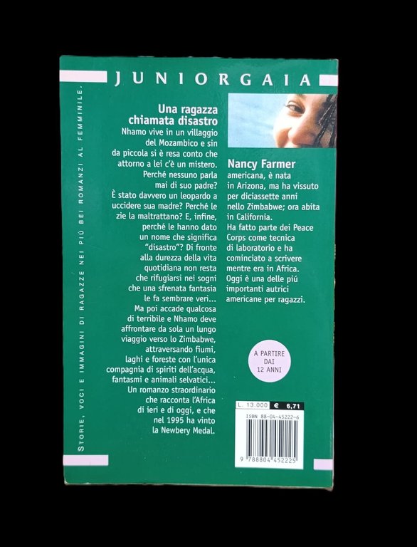 Una ragazza chiamata Disastro | Immagine Gallery 3