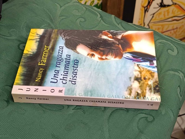 Una ragazza chiamata Disastro | Immagine Gallery 4