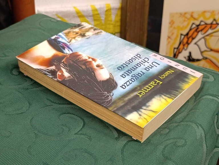 Una ragazza chiamata Disastro | Immagine Gallery 6