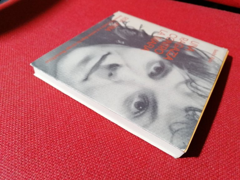 Una ragazza contro la mafia. Rita Atria, morte per solitudine