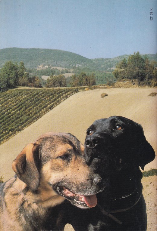 Una Zuppa per Due. La Storia di Hansel e Gretel | Immagine Gallery 2