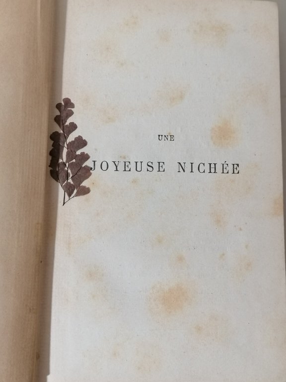 Une Joyeuse Nichée Libro Livre Pressensé Fischbacher 1891 Rilegato Francese