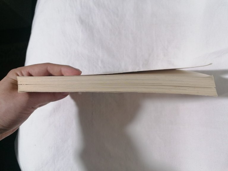 Uomini d'arte e di scienza a Sanremo e nella Riviera …