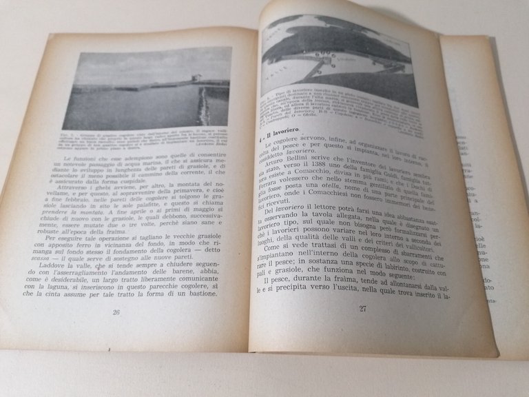 Valli Da Pesca Libro Ruggero De Angelis Novellame Stagnicoltura Manuale …