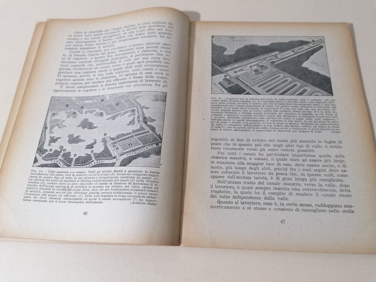 Valli Da Pesca Libro Ruggero De Angelis Novellame Stagnicoltura Manuale …