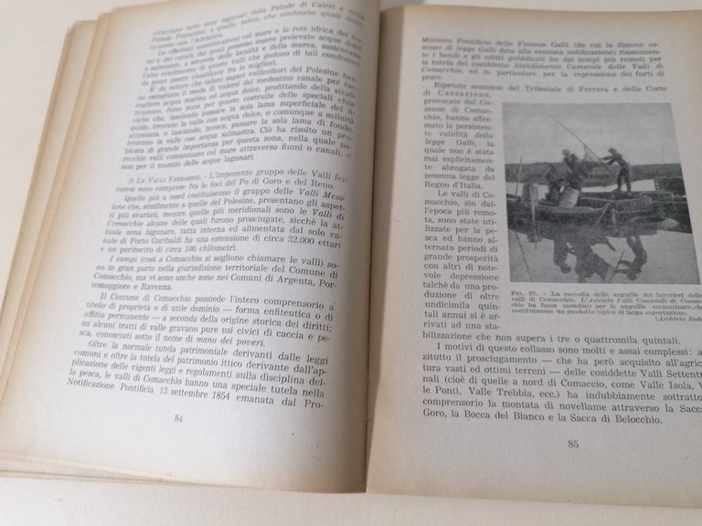 Valli Da Pesca Libro Ruggero De Angelis Novellame Stagnicoltura Manuale …