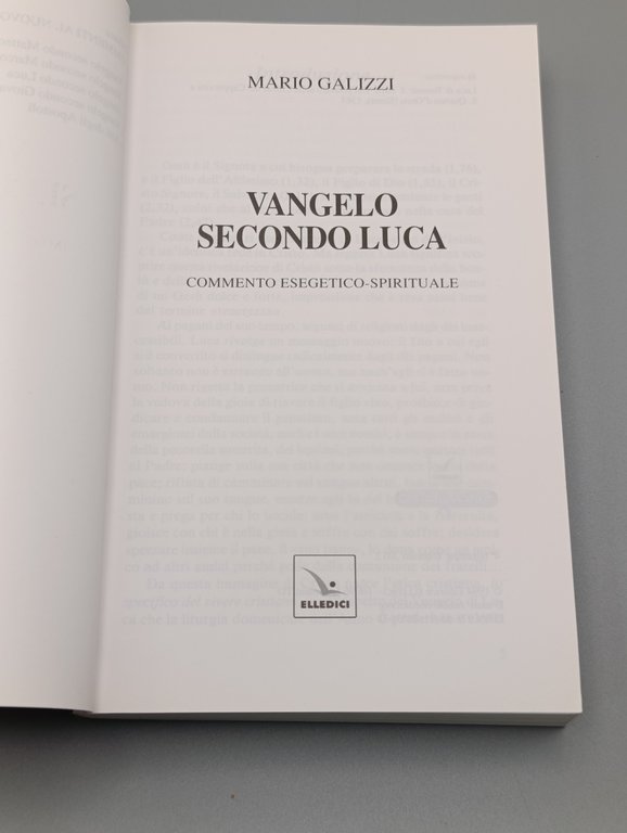 Vangelo secondo Luca. Commento esegetico-spirituale