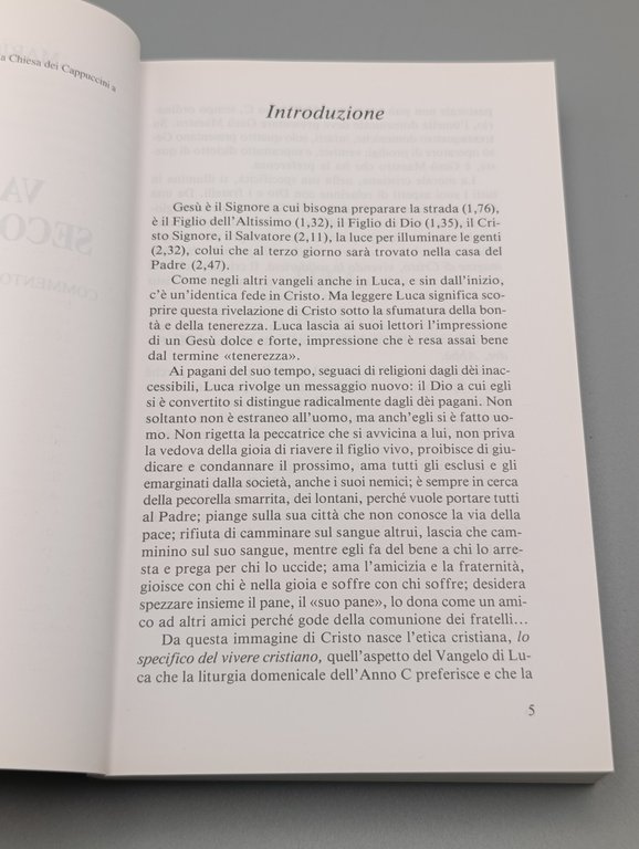 Vangelo secondo Luca. Commento esegetico-spirituale