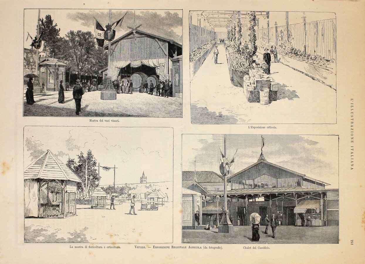 Verona. Esposizione Regionale Agricola. Stampa 1889 | Immagine principale