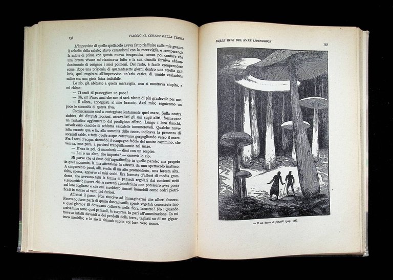 Viaggio al Centro della Terra, Nuova Versione di Gino Cornali | Immagine Gallery 9