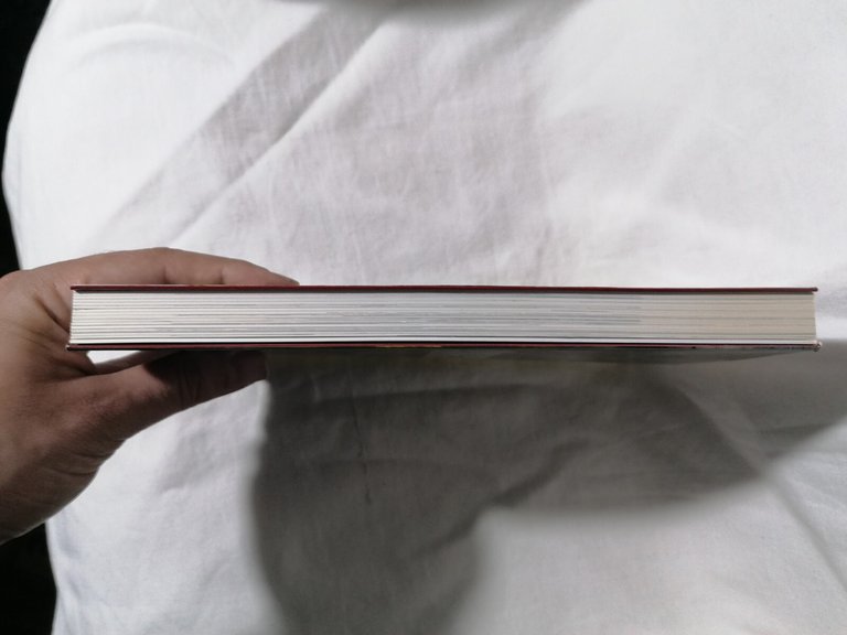 Vichinghi - Libro René Chartrand Durham Harrison Heath Leg 2013 …