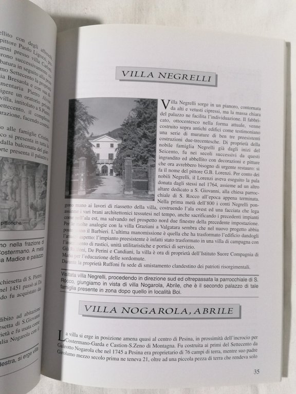 Ville e famiglie del Garda Veronese - Libro Mario Luciolli …
