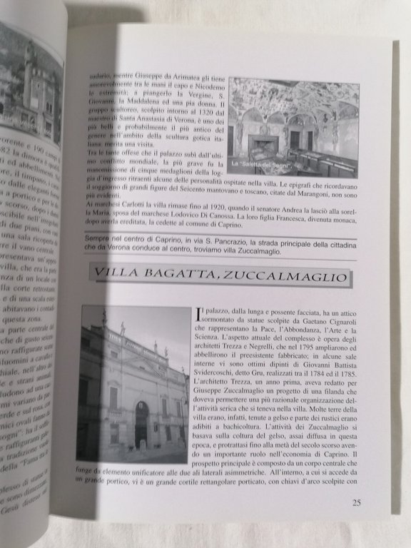 Ville e famiglie del Garda Veronese - Libro Mario Luciolli …