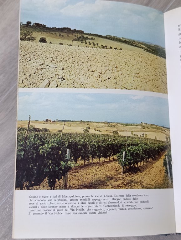 Vino al vino. Alla ricerca di vini genuini