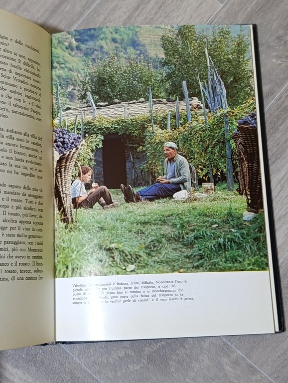 Vino al vino. Alla ricerca di vini genuini