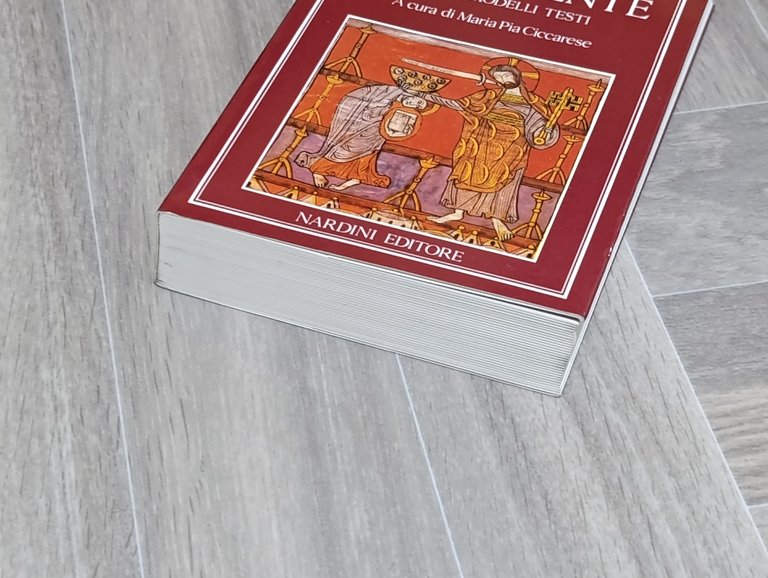 Visioni dell'aldilà in Occidente. Fonti, modelli, testi