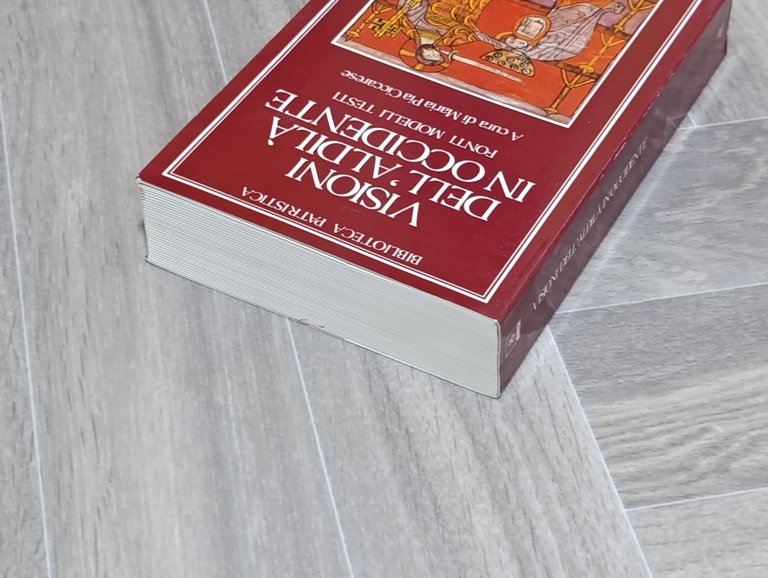 Visioni dell'aldilà in Occidente. Fonti, modelli, testi