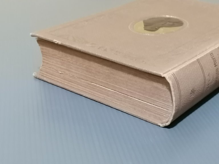 Vita Del B. Francesco Maria Da Camporosso Luigi da Porto …