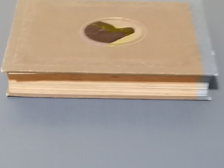 Vita Del B. Francesco Maria Da Camporosso Luigi da Porto …