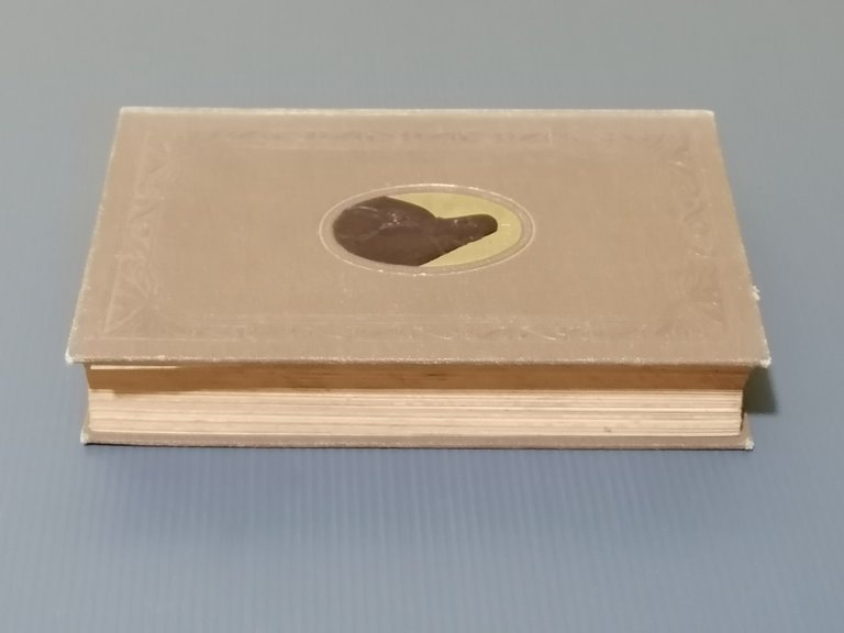 Vita Del B. Francesco Maria Da Camporosso Luigi da Porto …