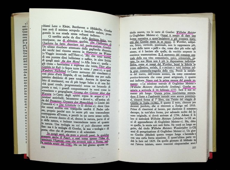 Vita di Goethe Libro Alighiero Chiusano Rusconi Rilegato 2 Edizione …