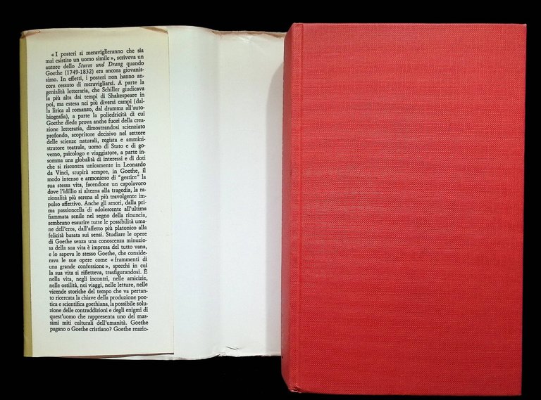 Vita di Goethe Libro Alighiero Chiusano Rusconi Rilegato 2 Edizione …