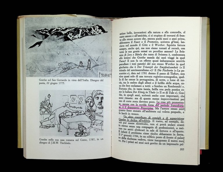 Vita di Goethe Libro Alighiero Chiusano Rusconi Rilegato 2 Edizione …