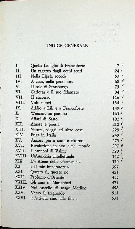 Vita di Goethe Libro Alighiero Chiusano Rusconi Rilegato 2 Edizione …