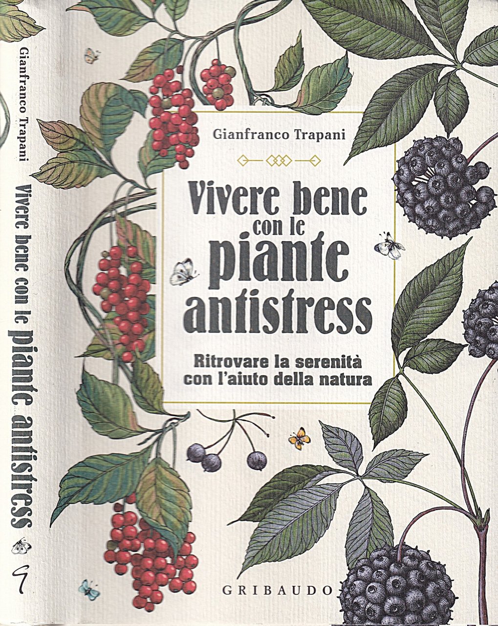 Vivere bene con le piante antistress
