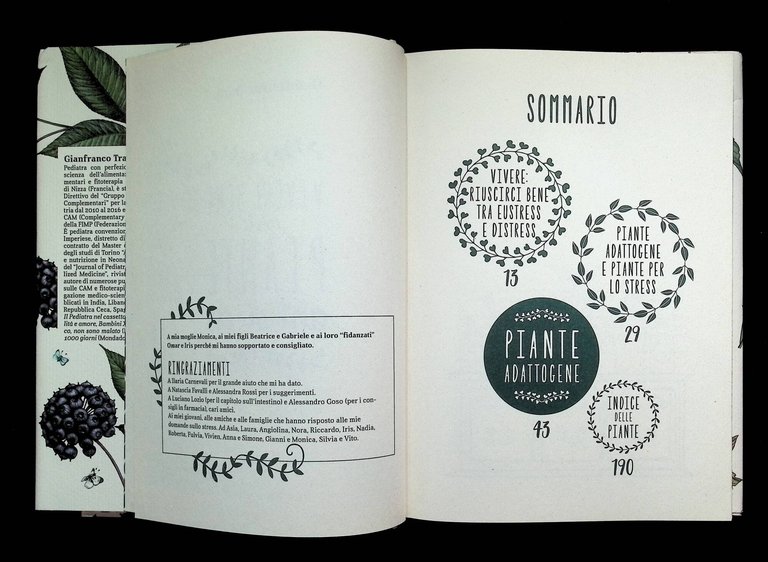 Vivere bene con le piante antistress