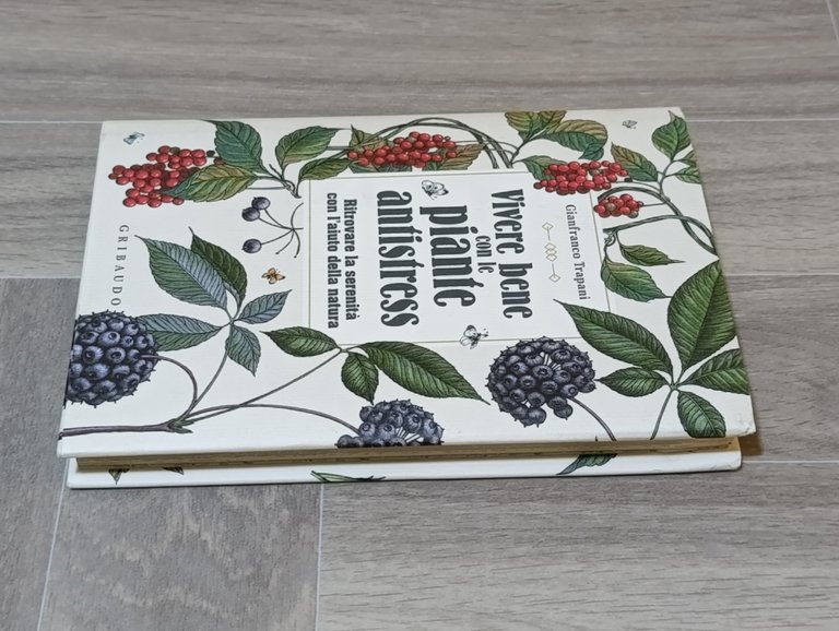 Vivere bene con le piante antistress