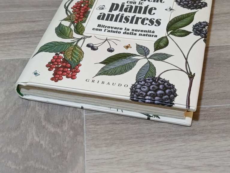 Vivere bene con le piante antistress