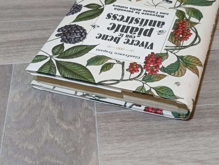 Vivere bene con le piante antistress