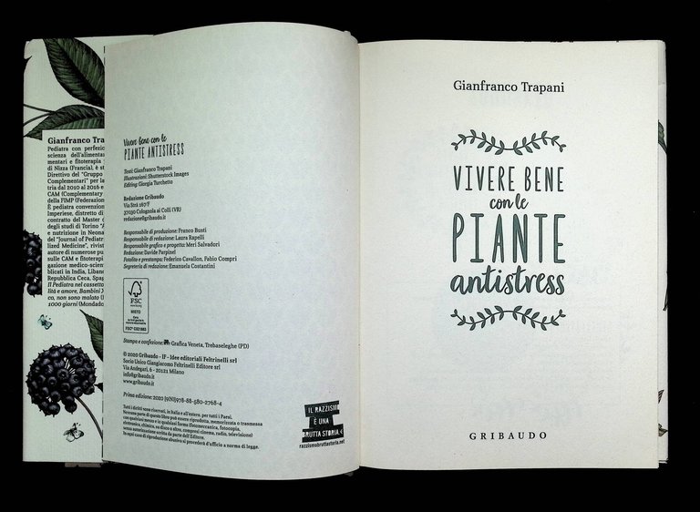 Vivere bene con le piante antistress