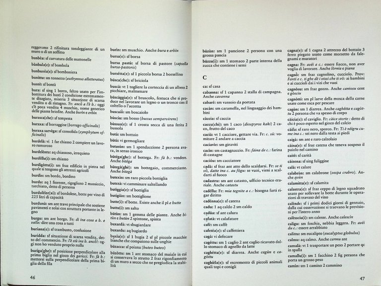 Vocabolario del Dialetto Levantese Libro Viviani Dialetto Levanto 8870583988