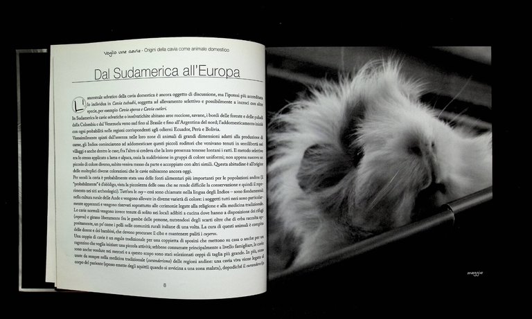 Voglio Una Cavia Edizione Illustrata