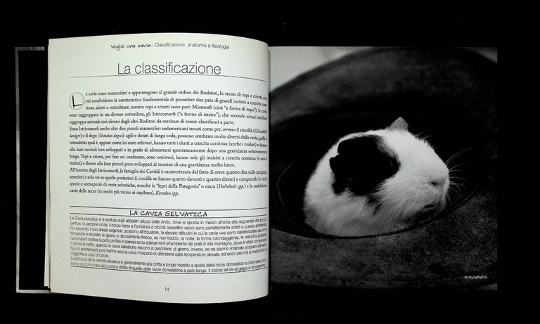 Voglio Una Cavia Edizione Illustrata