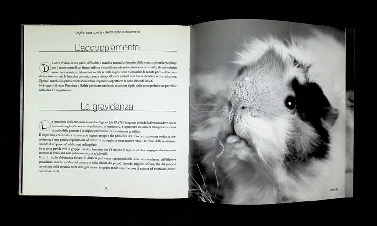 Voglio Una Cavia Edizione Illustrata