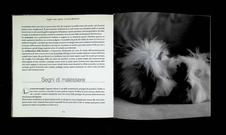 Voglio Una Cavia Edizione Illustrata