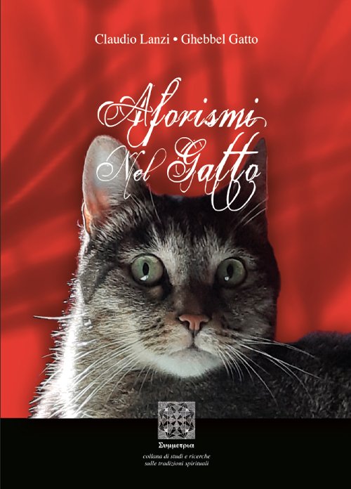 Aforismi nel gatto | Immagine principale