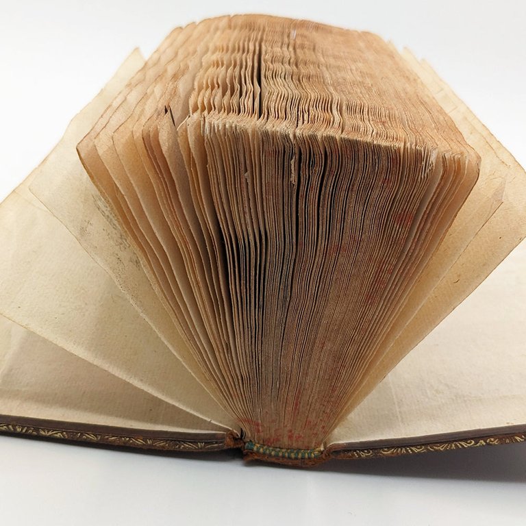 BARTOLI Daniello. La Pauvreté Contente | Immagine Gallery 3