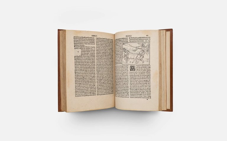 CRESCIENTIO Piero. De Agricultura Vulgare | Immagine Gallery 11