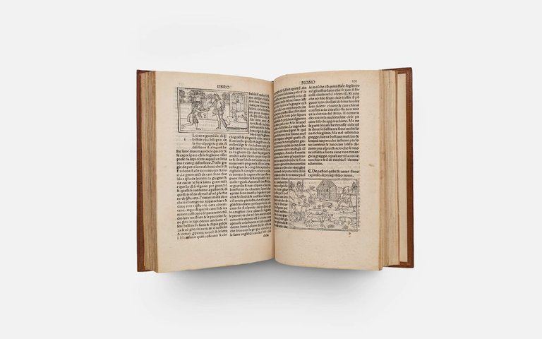 CRESCIENTIO Piero. De Agricultura Vulgare | Immagine Gallery 12