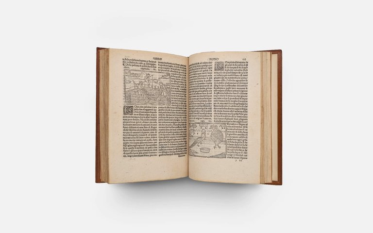 CRESCIENTIO Piero. De Agricultura Vulgare | Immagine Gallery 13